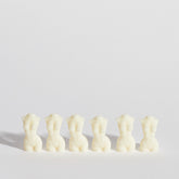 6-Pack Luxury Body Wax Melts